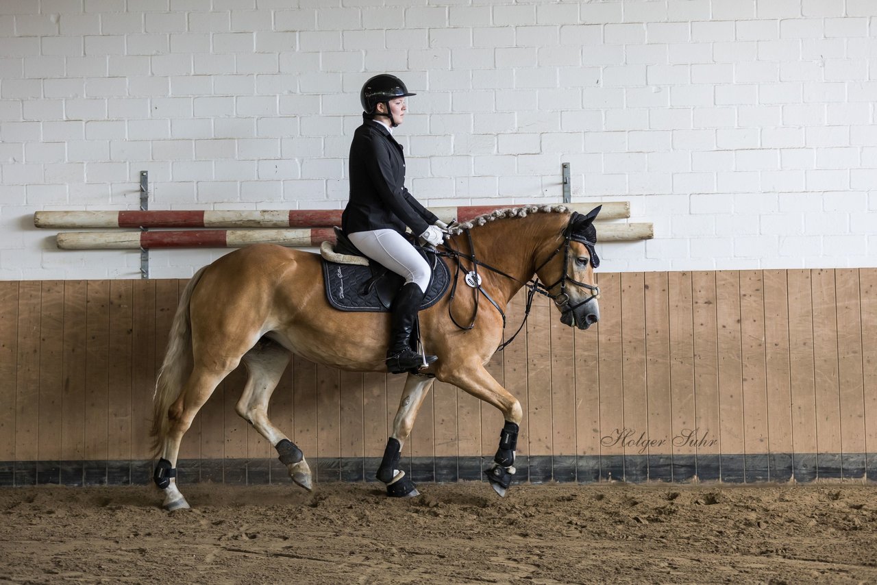 Bild 18 - Pony Akademie Turnier